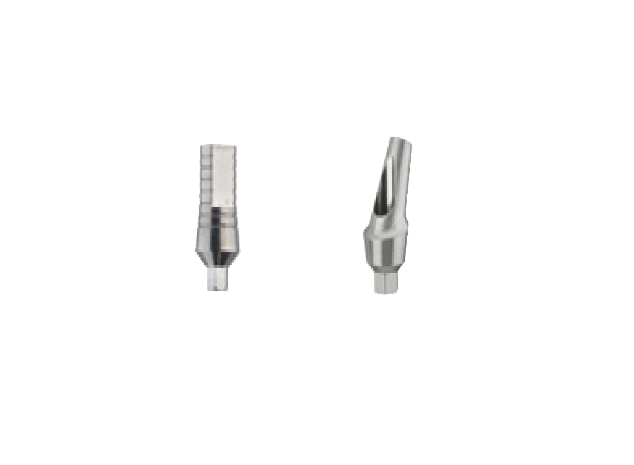 Dental Abutments